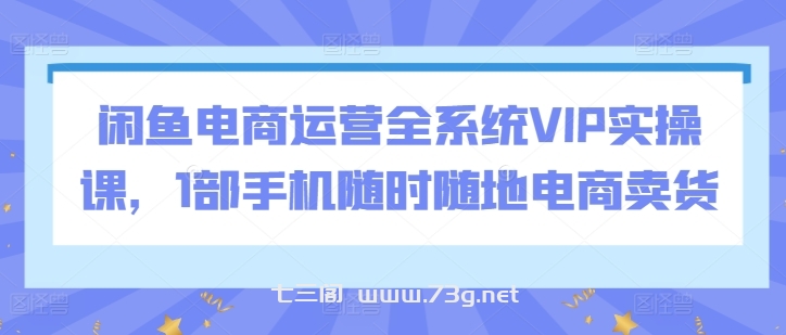 闲鱼电商运营全系统VIP实操课，1部手机随时随地电商卖货-七三阁