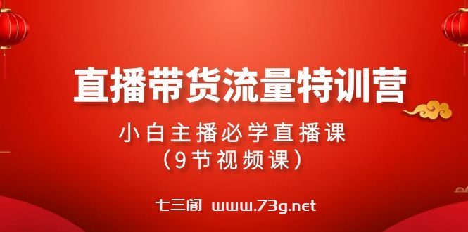 2024直播带货流量特训营，小白主播必学直播课（9节视频课）-七三阁