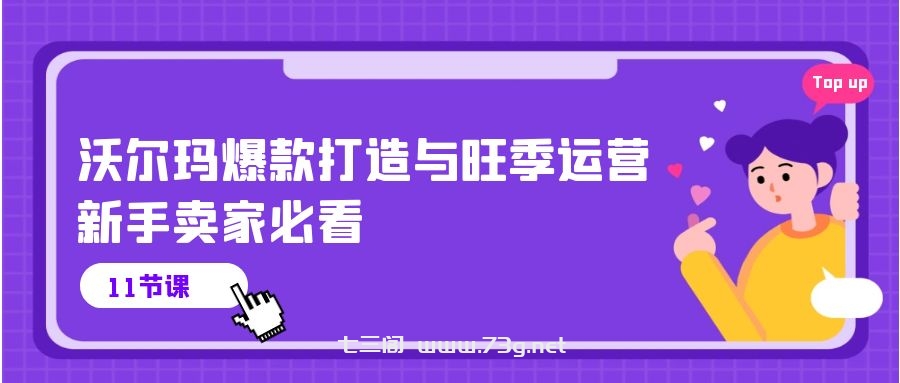 沃尔玛爆款打造与旺季运营，新手卖家必看（11节视频课）-七三阁