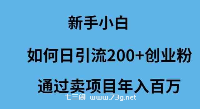 （9668期）新手小白如何日引流200+创业粉通过卖项目年入百万-七三阁