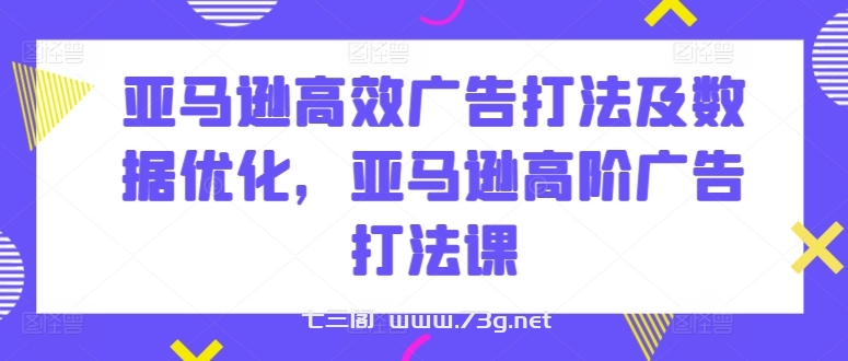 亚马逊高效广告打法及数据优化，亚马逊高阶广告打法课-七三阁