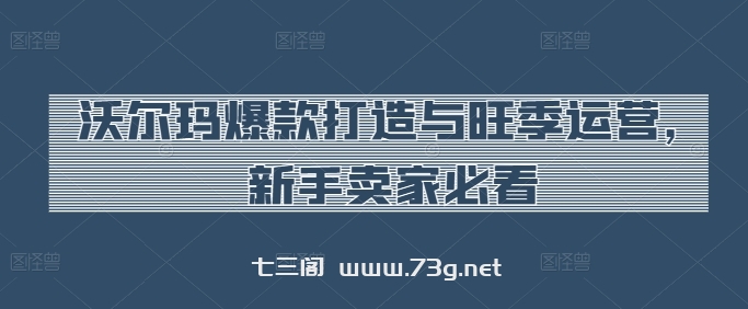 沃尔玛爆款打造与旺季运营，新手卖家必看-七三阁