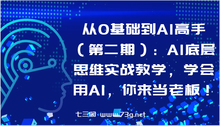 从0基础到AI高手（第二期）：AI底层思维实战教学，学会用AI，你来当老板！-七三阁