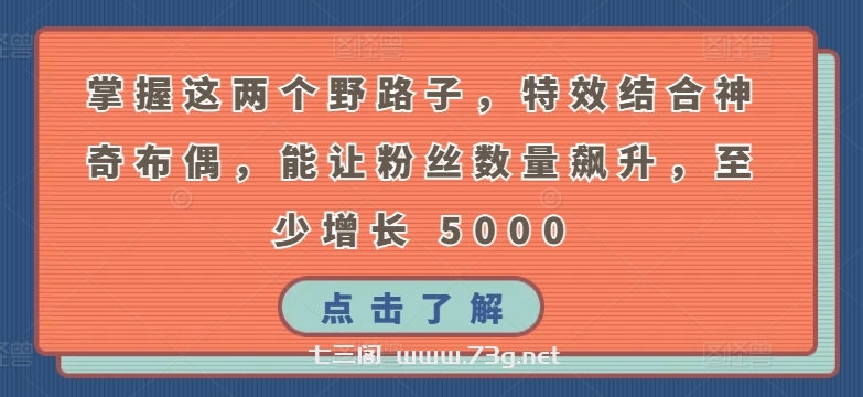 掌握这两个野路子，特效结合神奇布偶，能让粉丝数量飙升，至少增长 5000-七三阁