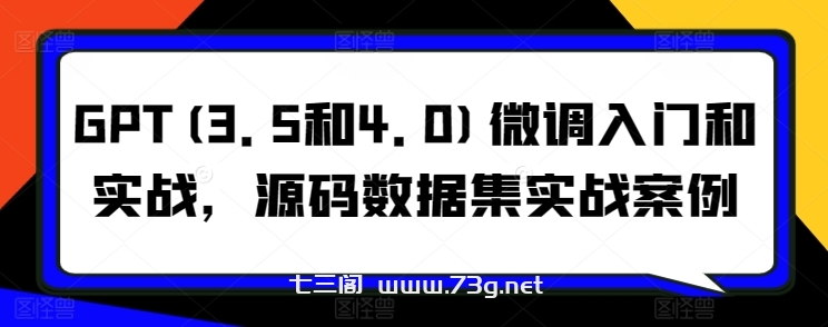 GPT(3.5和4.0)微调入门和实战，源码数据集实战案例-七三阁