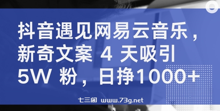 抖音遇见网易云音乐，新奇文案 4 天吸引 5W 粉，日挣1000+-七三阁