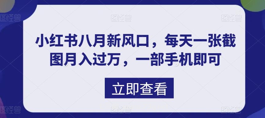 八月新风口，小红书虚拟项目一天收入1000+，实战揭秘-七三阁