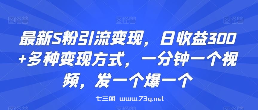 最新S粉引流变现，日收益300+多种变现方式，一分钟一个视频，发一个爆一个【揭秘】-七三阁