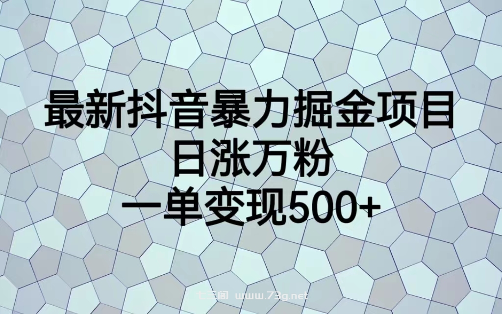 最新抖音暴力掘金项目，日涨万粉，一单变现500+-七三阁