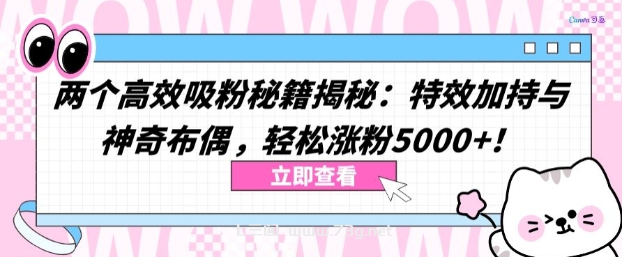 两个高效吸粉秘籍揭秘：特效加持与神奇布偶，轻松涨粉5000+-七三阁