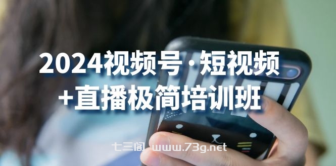 2024视频号短视频+直播极简培训班：抓住视频号风口，流量红利-七三阁