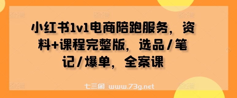 小红书1v1电商陪跑服务，资料+课程完整版，选品/笔记/爆单，全案课-七三阁