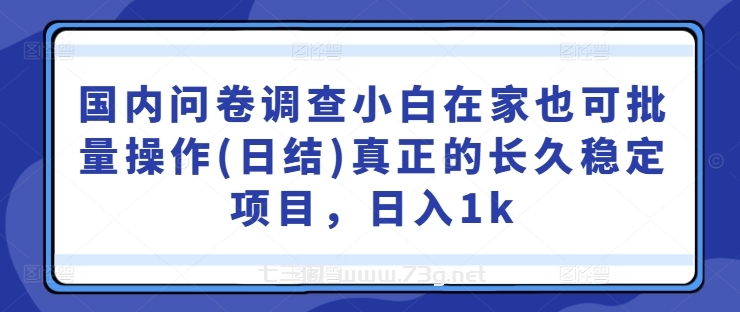 国内问卷调查小白在家也可批量操作(日结)真正的长久稳定项目，日入1k【揭秘】-七三阁